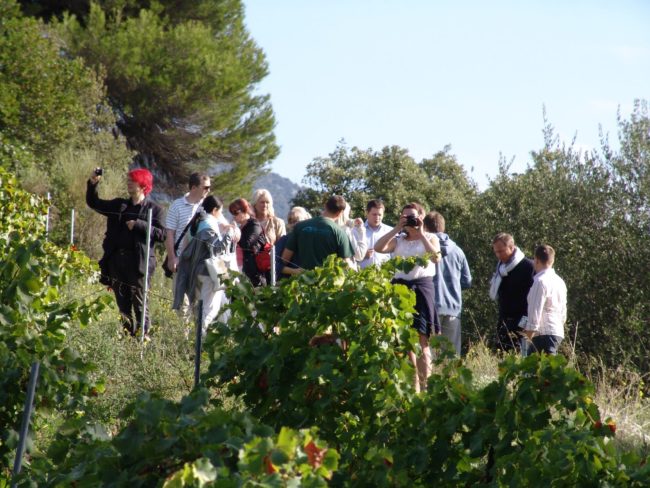 Chateau de Bellet viinaaed