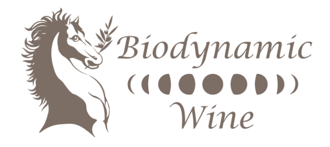 Web_White_Background_Logo