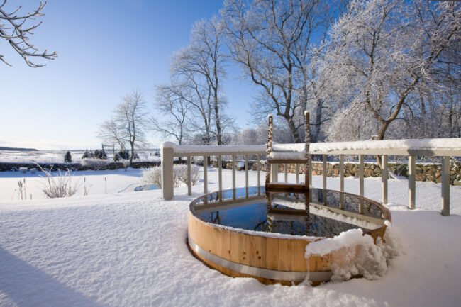 Muhumaa,Pädaste mõis,07.01.2009