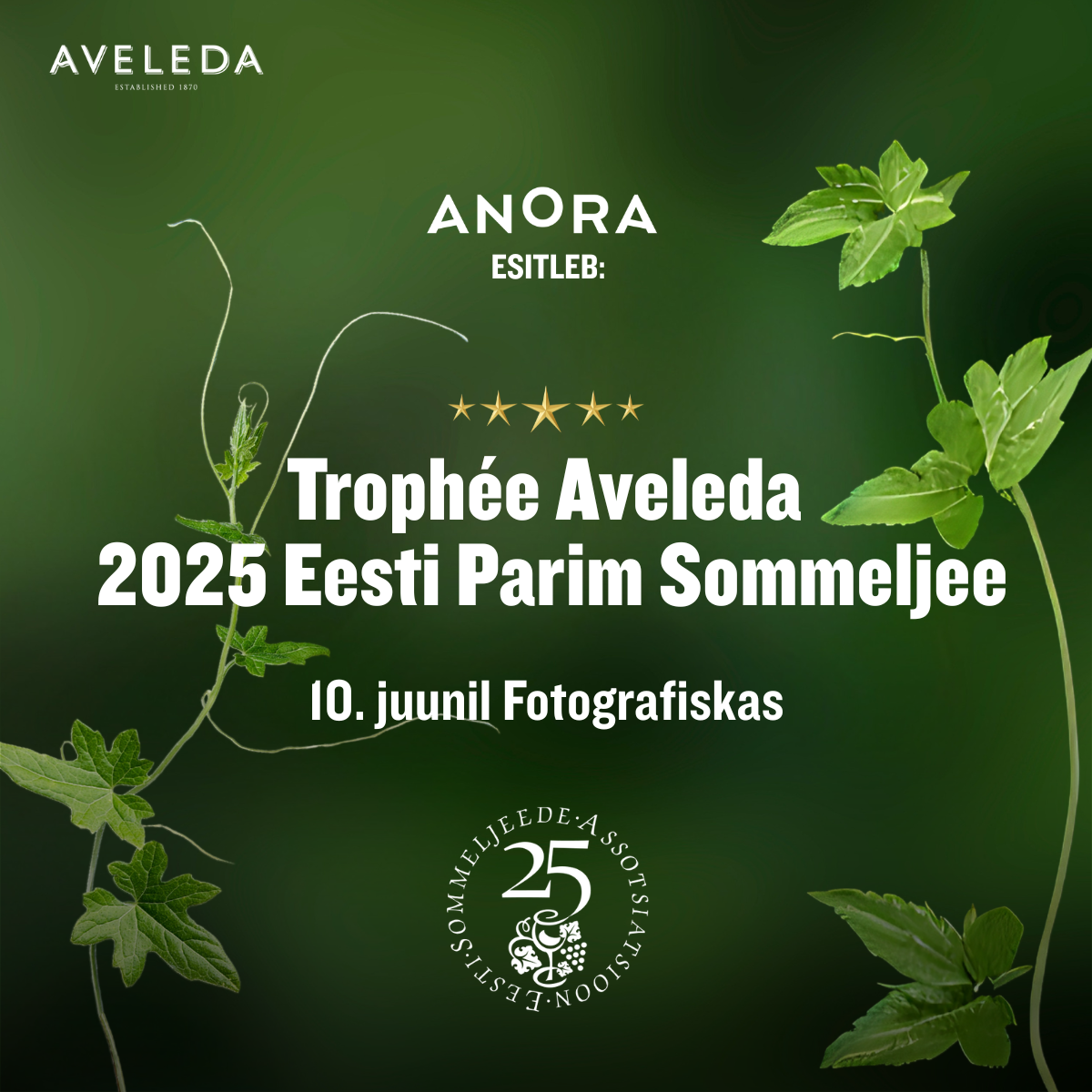 10. juunil kell 16.00 Fotografiskas (O-korruse saalis) leiab aset Eesti sommeljeemaailma tähtsündmus:Trophée Aveleda – Eesti Parim Sommeljee 2025 ja Somm-Est Ch